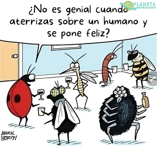 Sus desdeñosas miradas son entendible