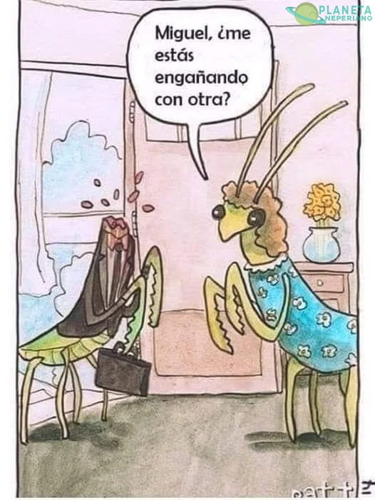 Con que cabeza se le ocurrio eso?