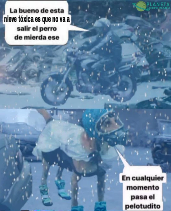 Eso nunca fue problema para Firulais