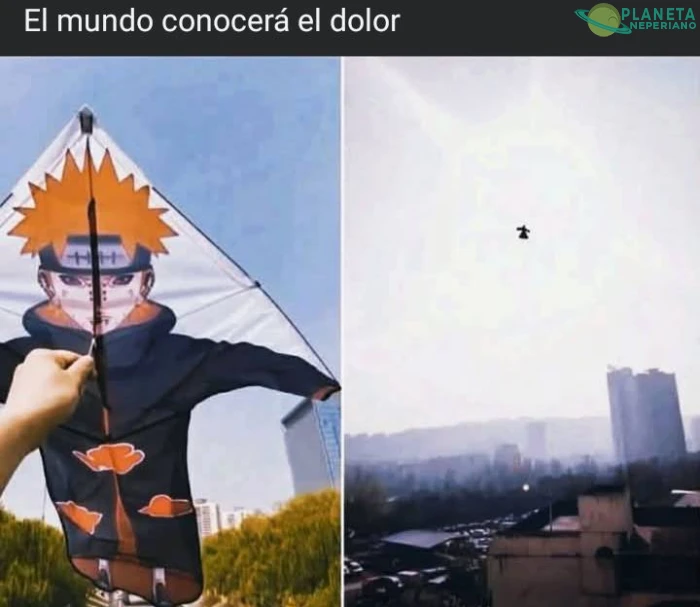 Alguien notará eso y le dará por invocar sapos gigantes