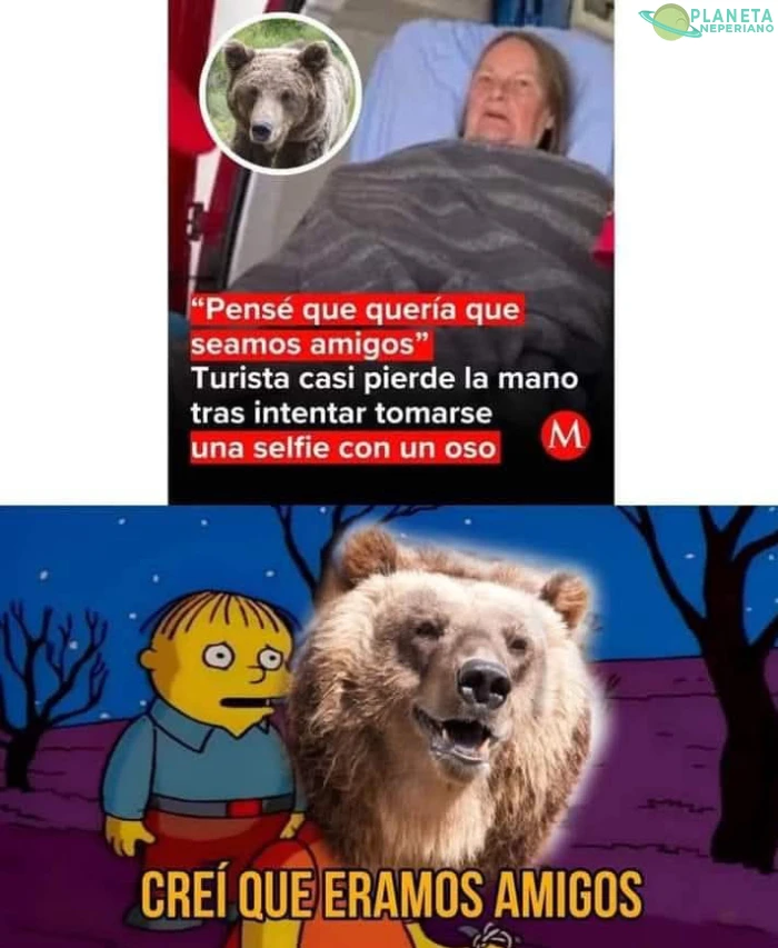 Los osos no negocian con su comida
