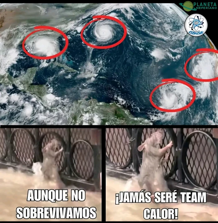 JAAAMAS