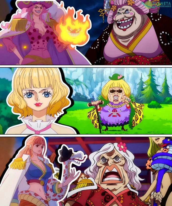 me duele pensar en el futuro de Nami y Robin