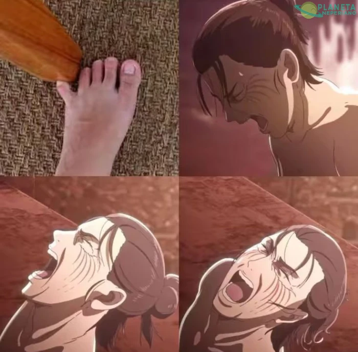 Dolor
