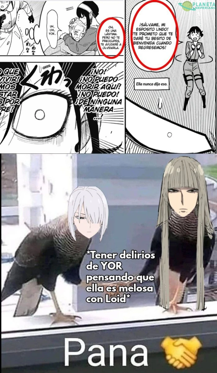 si tan solo Loid les contara el tipo de 