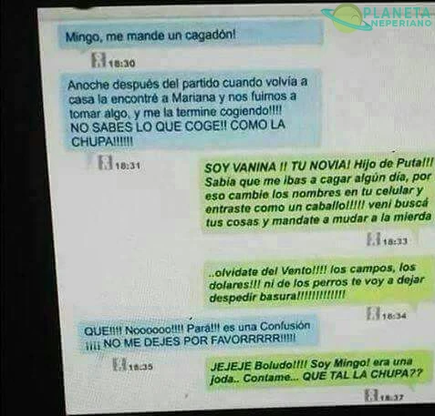 Viejardo