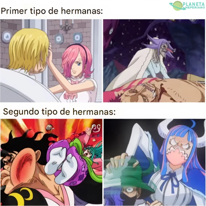en one piece solo vienen dos modelos de nee-chans