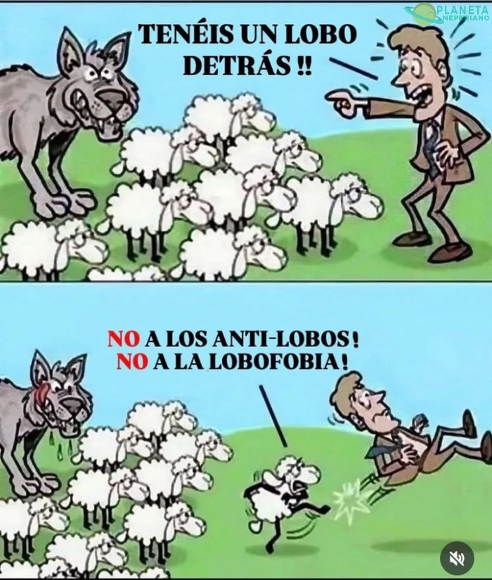 Cualquiera parecido con la realidad no es coincidencia