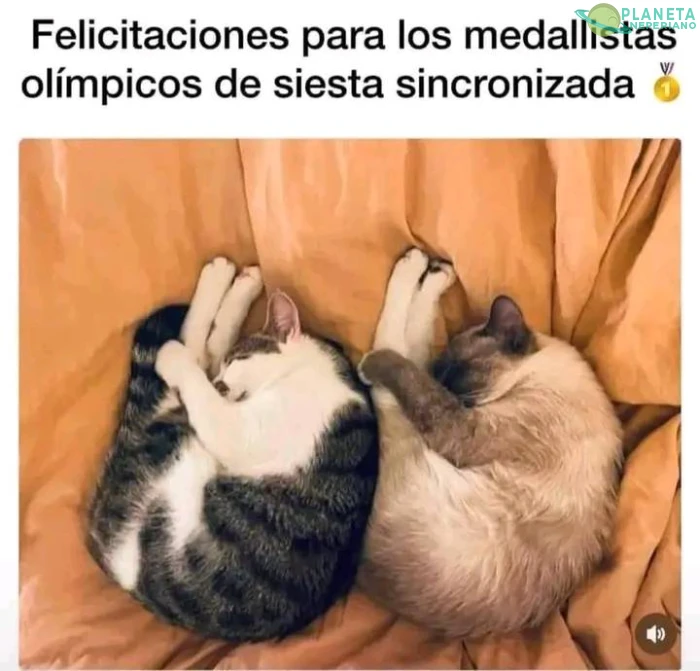Grandes Cat-mpeones de loas Olimp-michi-adas