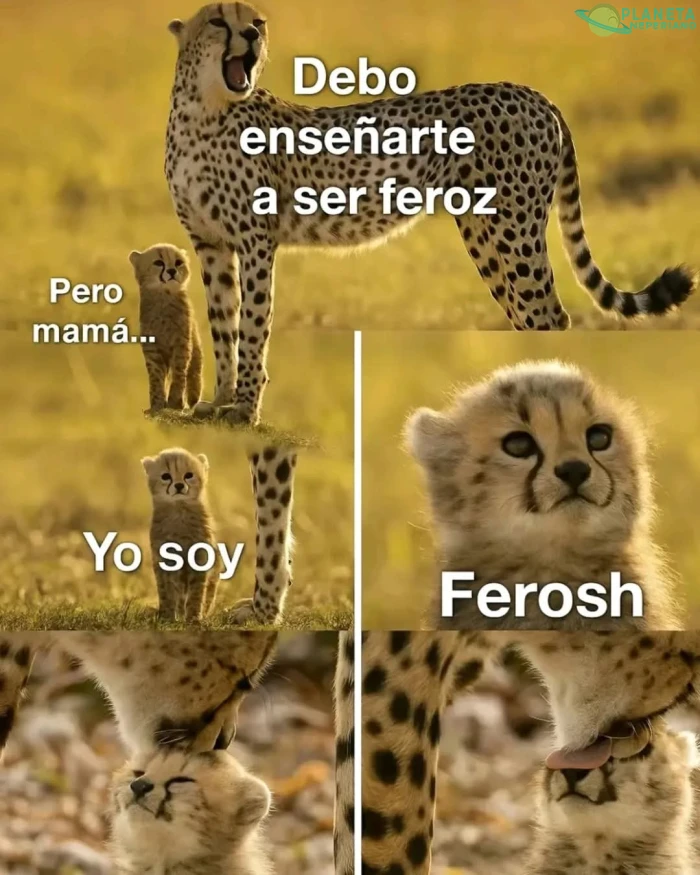 Ferosh