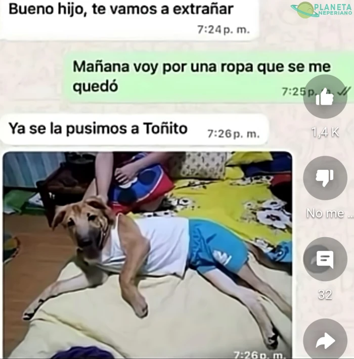 Ya te remplazaron wey xD
