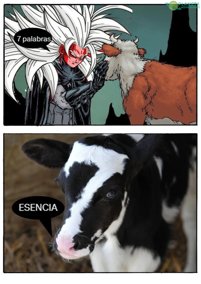 7 palabras E-S-E-N-C-I-A