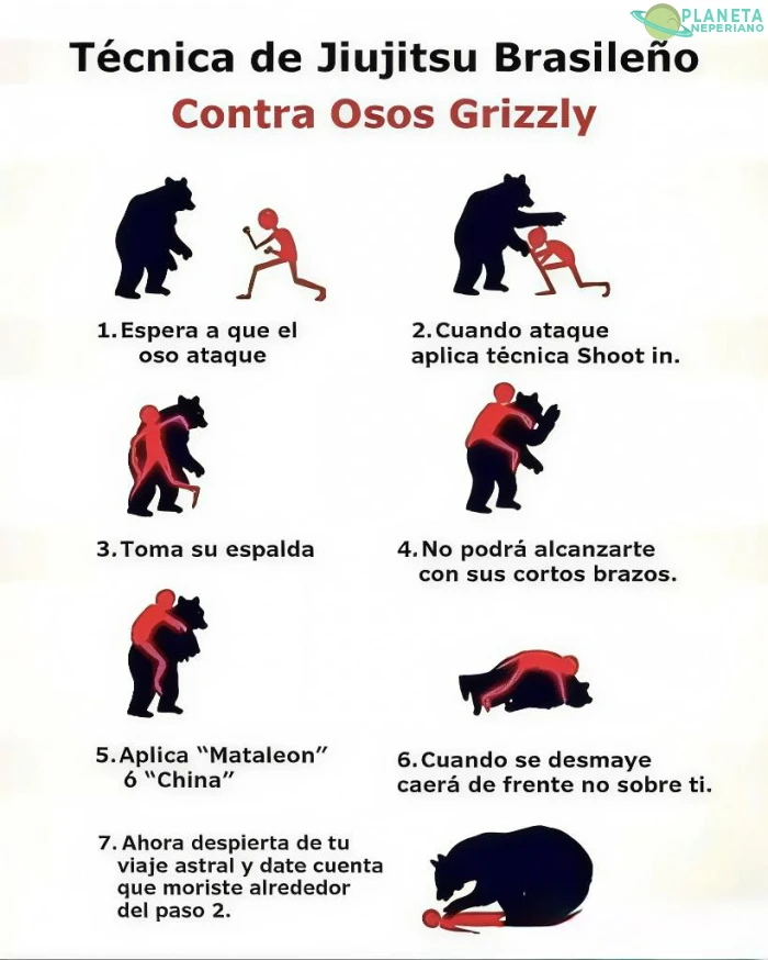 moraleja: no consumas hongos y practiques artes marciales random
