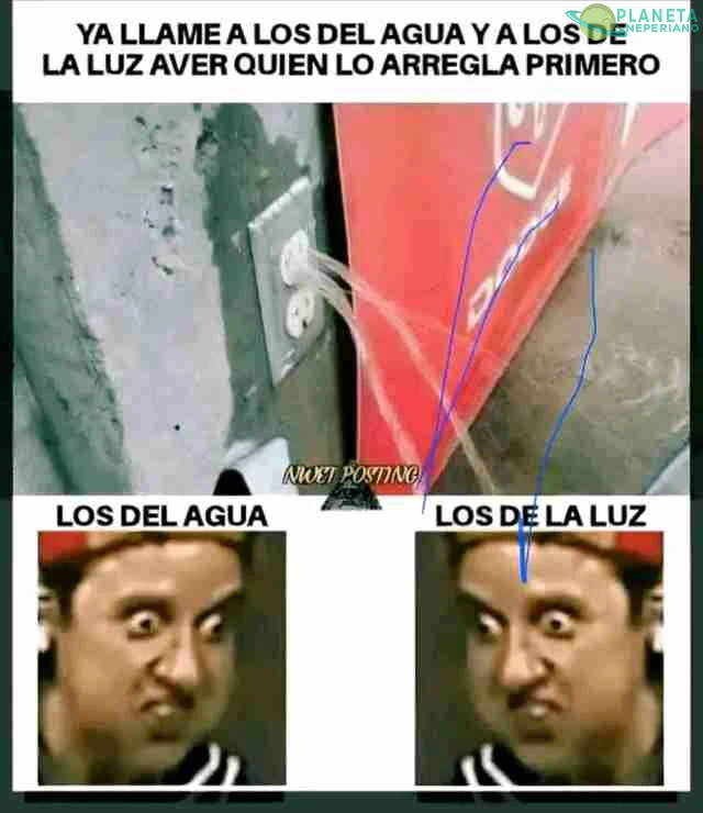 ¿Ambos? ¿ninguno?