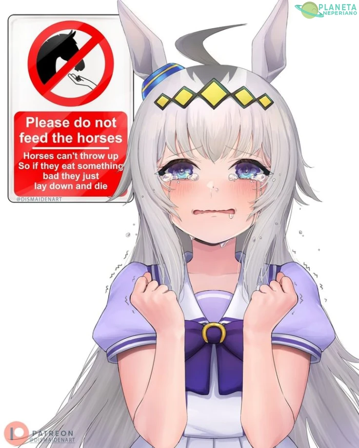 COMO QUE NO
