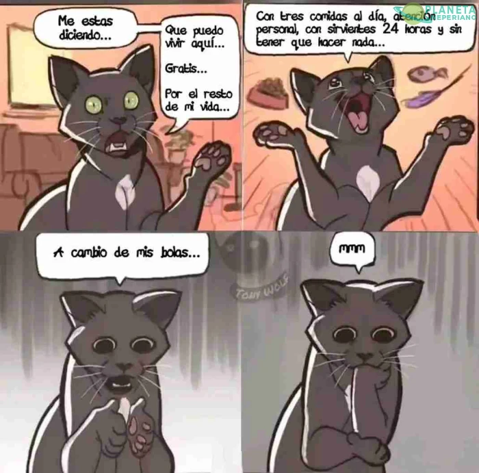 Un sacrificio de gran voluntad