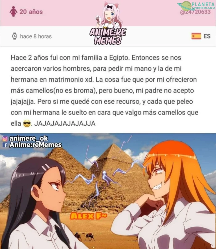 Cuántos camellos vales?