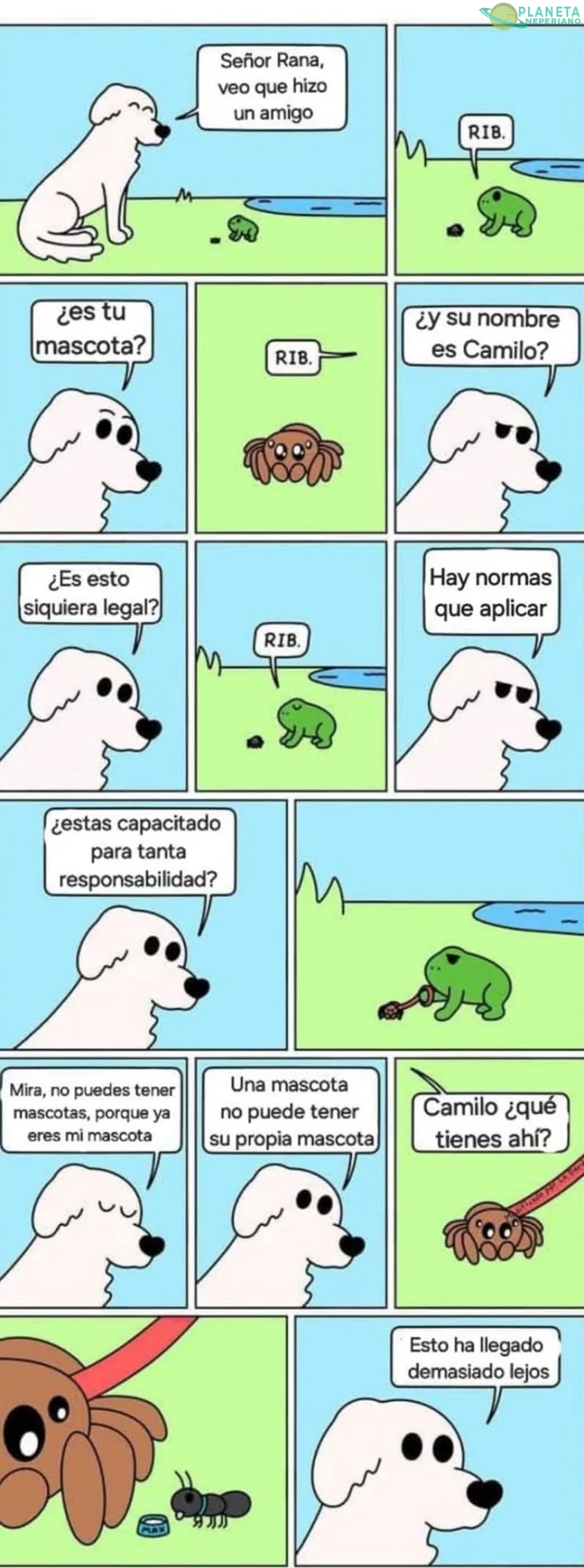 ahora todo el mundo quiere tener mascotas y nada de Hijos