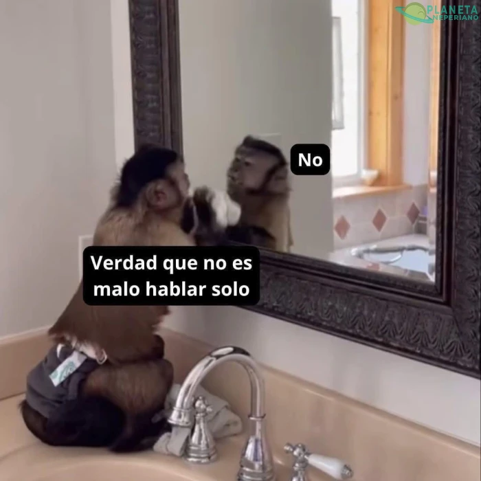 quien no lo habla son si mismo: mi cerebro :tienes razon :s