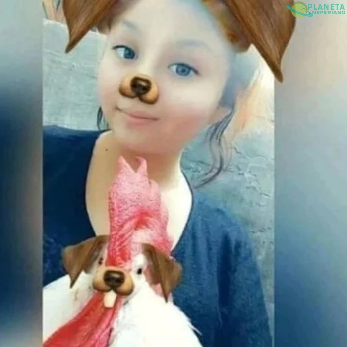 No MMS el gallo 😂