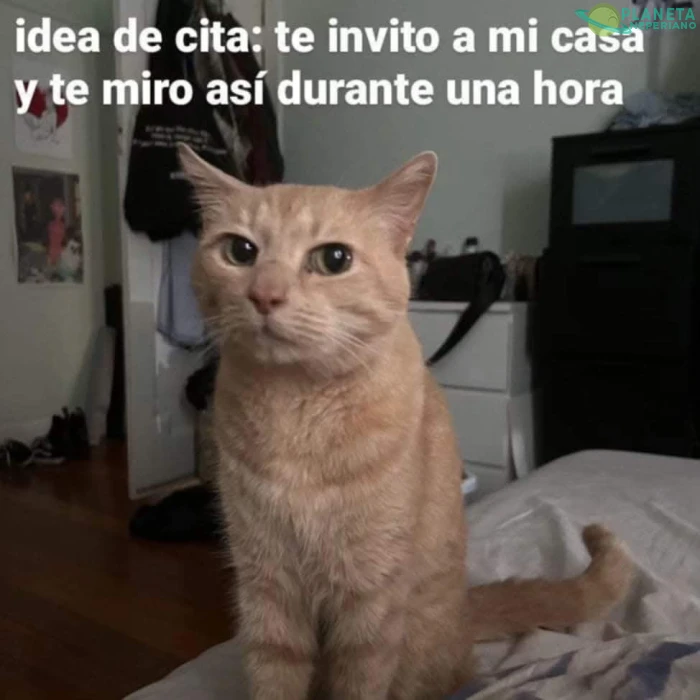 mimente:nunca habia llegado tan lejos