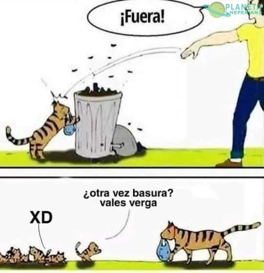 En casi todas las familias hay un hijo asi