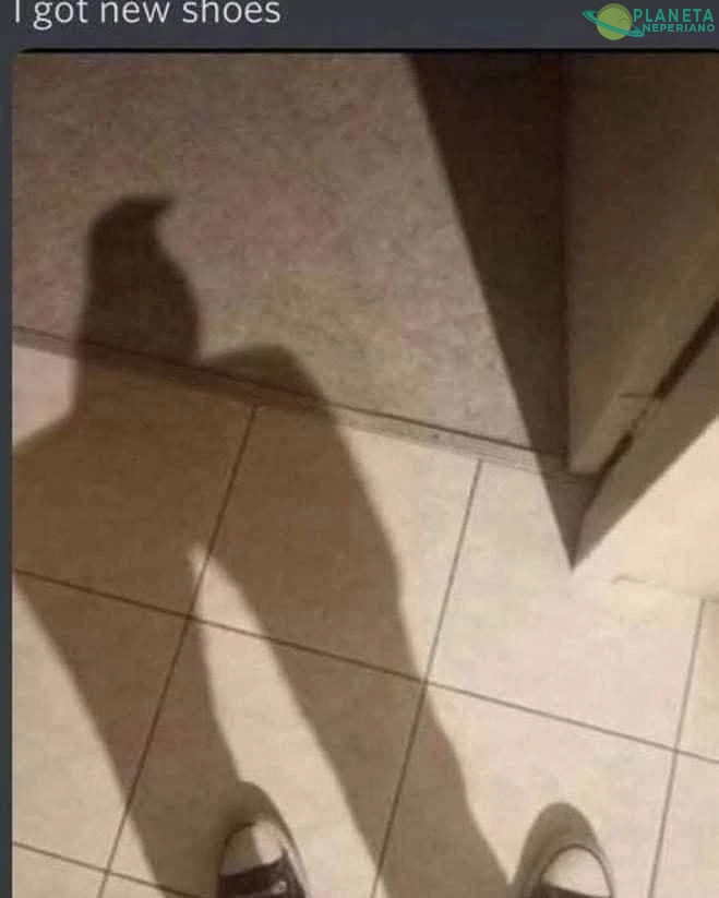 Los papás de la vaca y el pollito