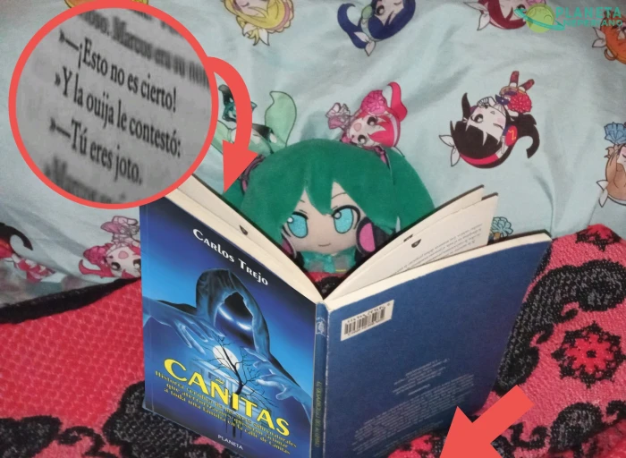 Literatura de calidad