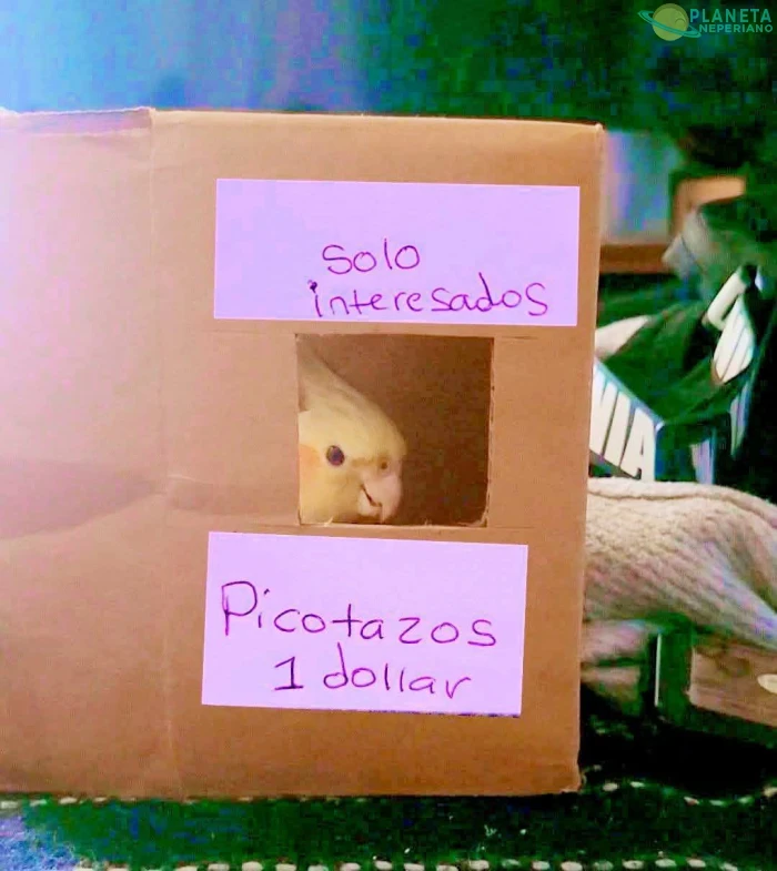 Que gran oferta 🤣