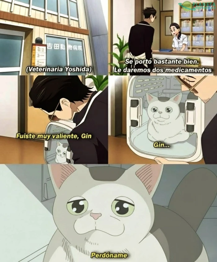 Contexto: Le quitaron los cocos 🥚🥚