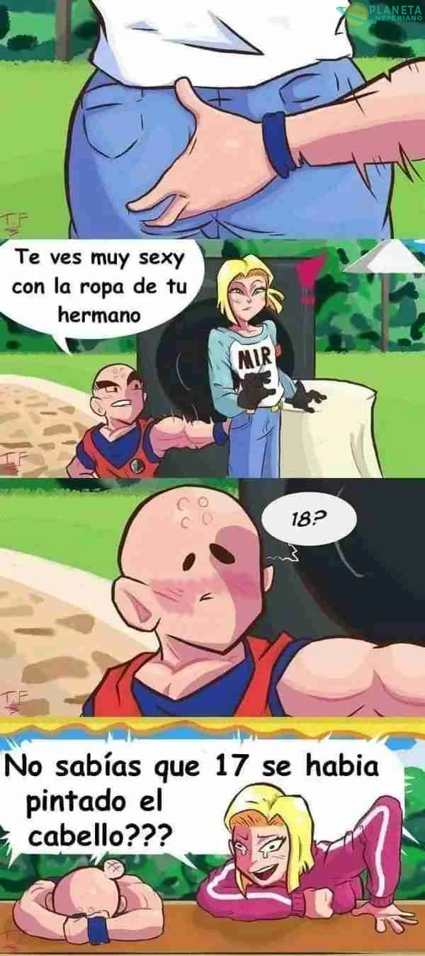 Desde ese momento Krilin descubrió un nuevo fetiche