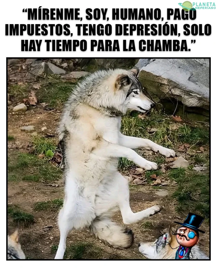 Sería ofensivo si no fuera real...