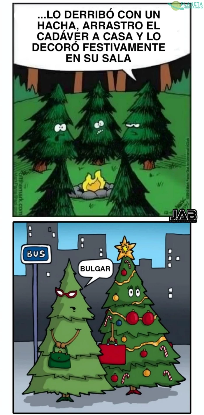 Noviembre en el mundo de los árboles de navidad