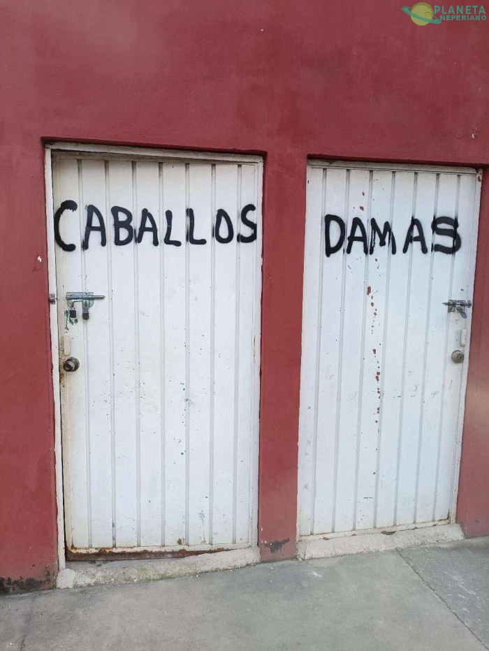 Un fanatico de umamusume vera esto y se le zafara un tornillo