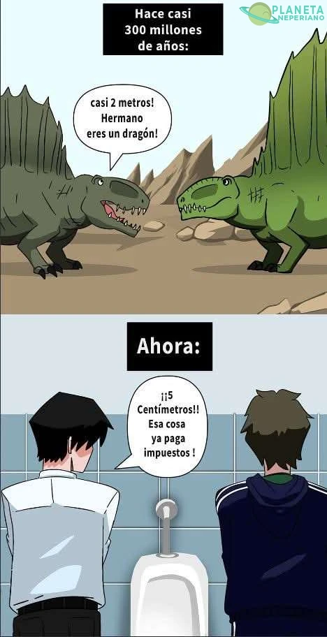 Dragones & impuestos