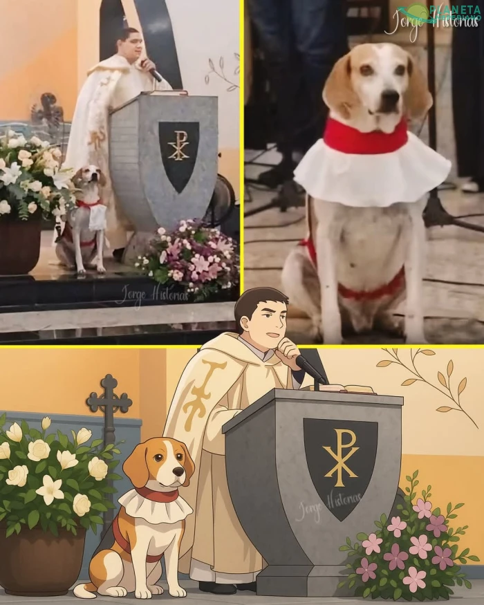 Le dicen el perro monaguillo