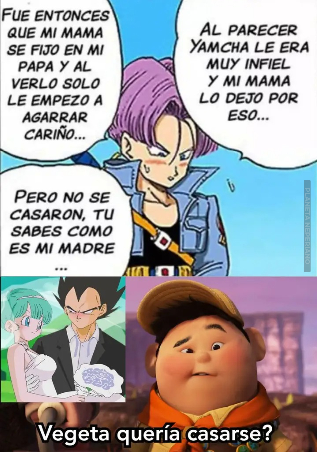 Bueno, Vegeta es un principe asi que tiene sentido que se quisiera casar