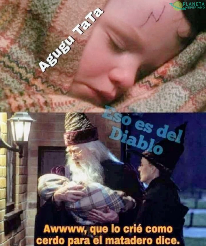 pinche albus