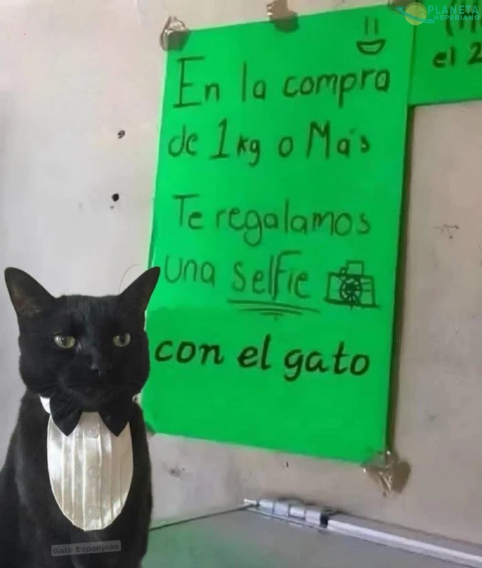 Vaya que ofertón...