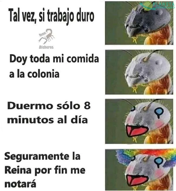 La historia de la SIMPatica hormiga gil laburadora