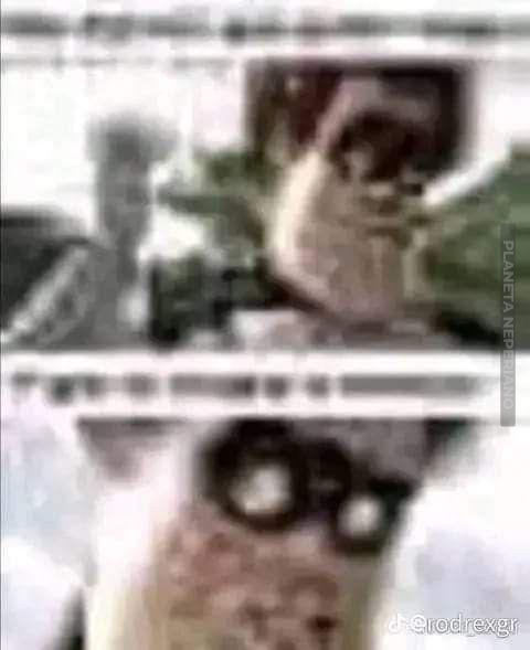 Sabes que el momo esta bueno cuando le falta HD