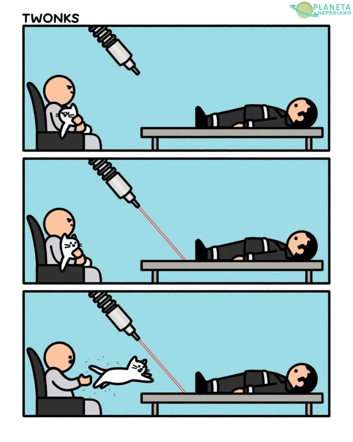 Pinche gato curioso, cuantas vidas van