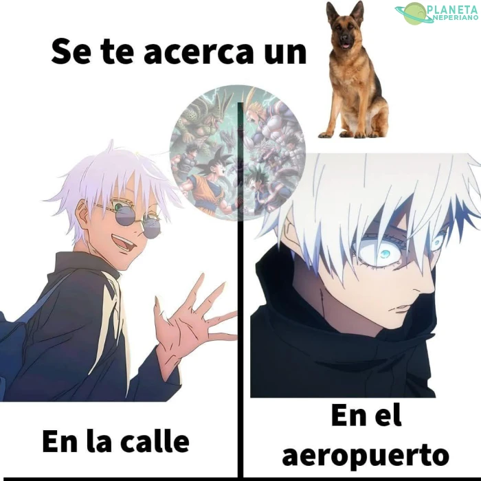 Pinche pulgoso, en el aeropuerto no...