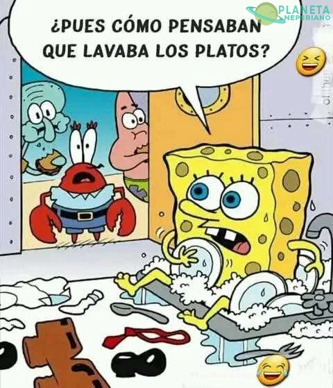 Como esponja pues tiene sentido