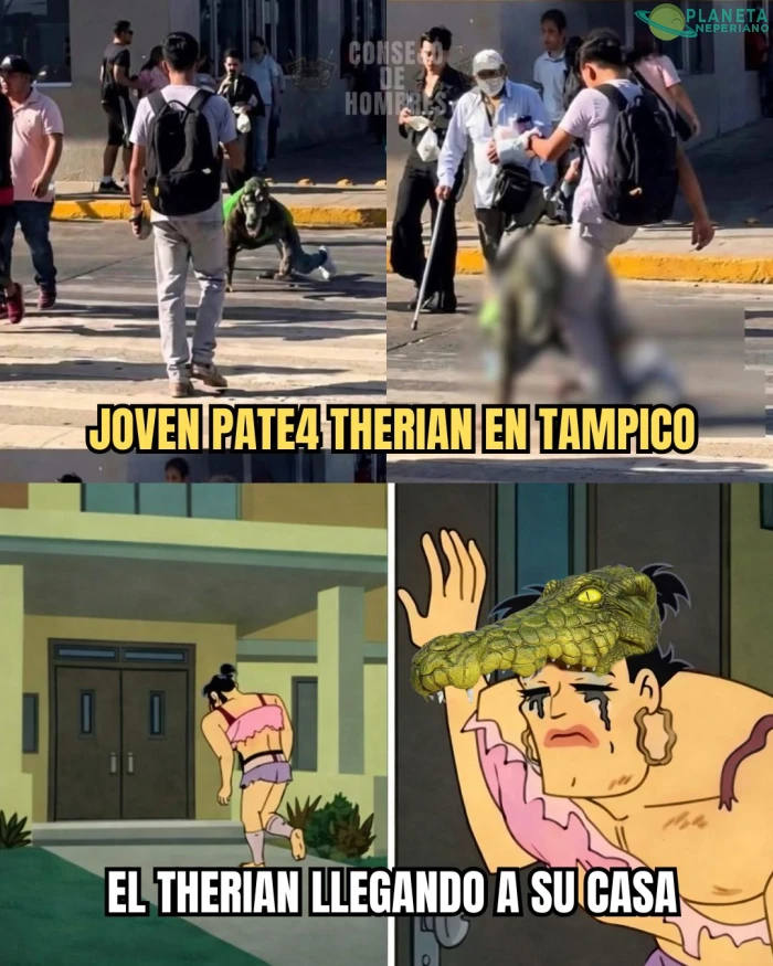 y ese en el mejor día para un therian