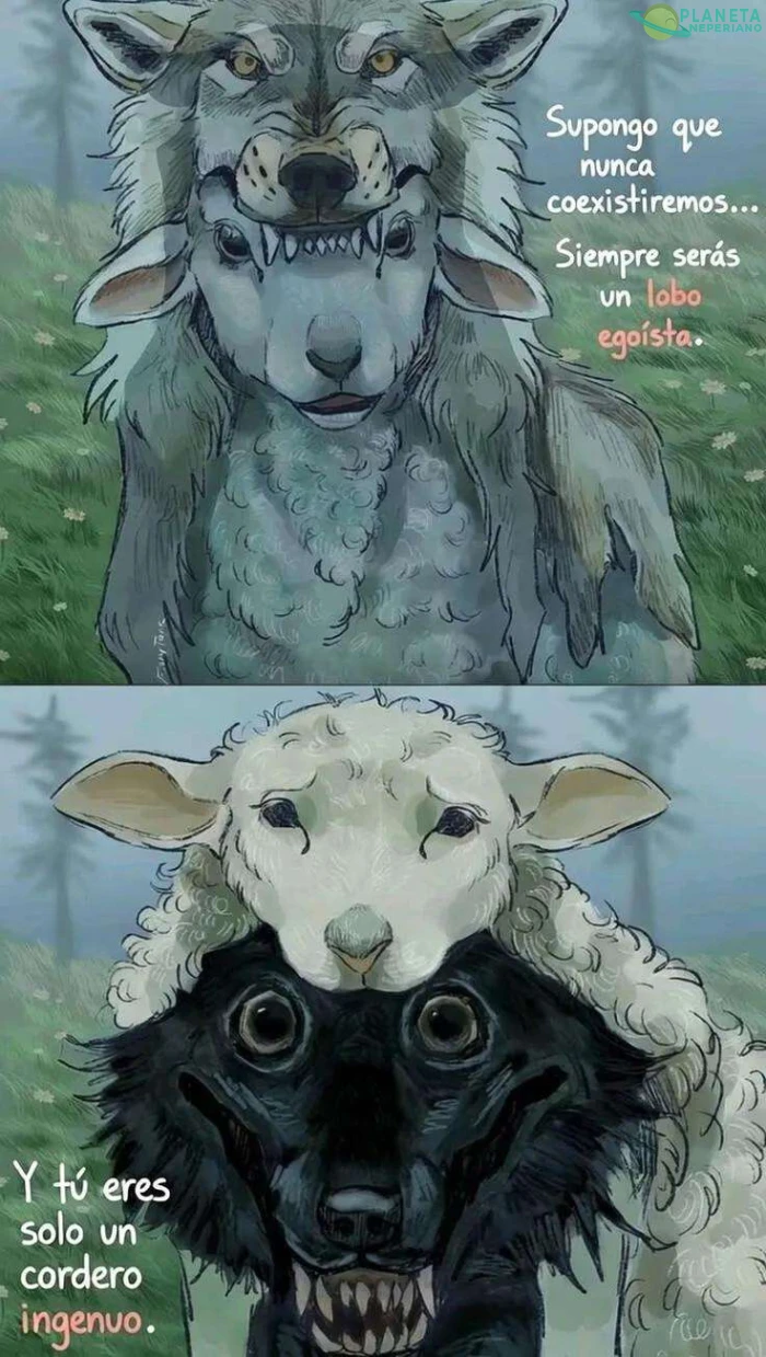 Lobos & corderos