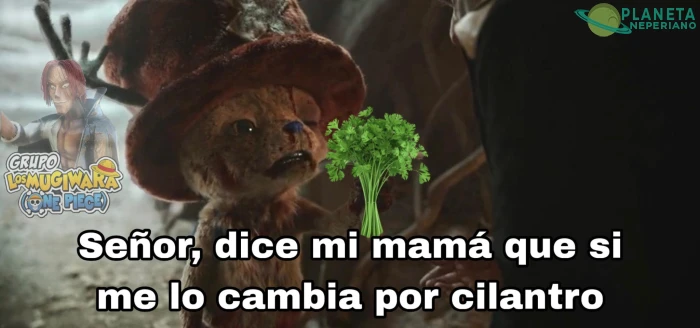 el trauma de siempre con el perejil
