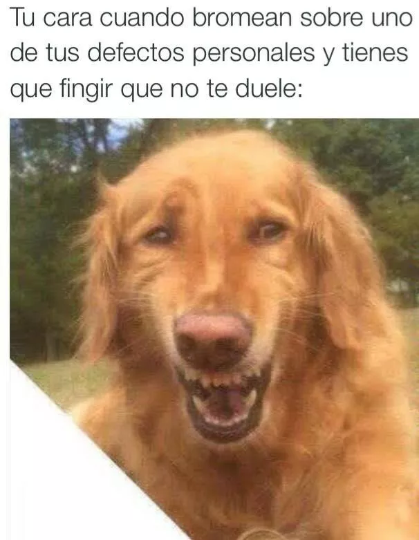 PERRO SABIO...