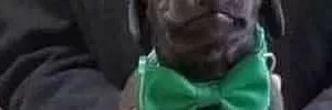 Que cosita mas linda
