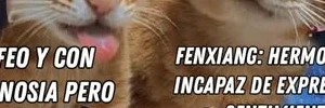 Maomao pudo salir peor